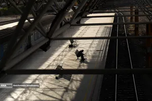 سفری امن و اقتصادی، در مسیر خطوط ریلی