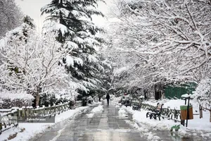 بارش برف زمستانی در تهران 