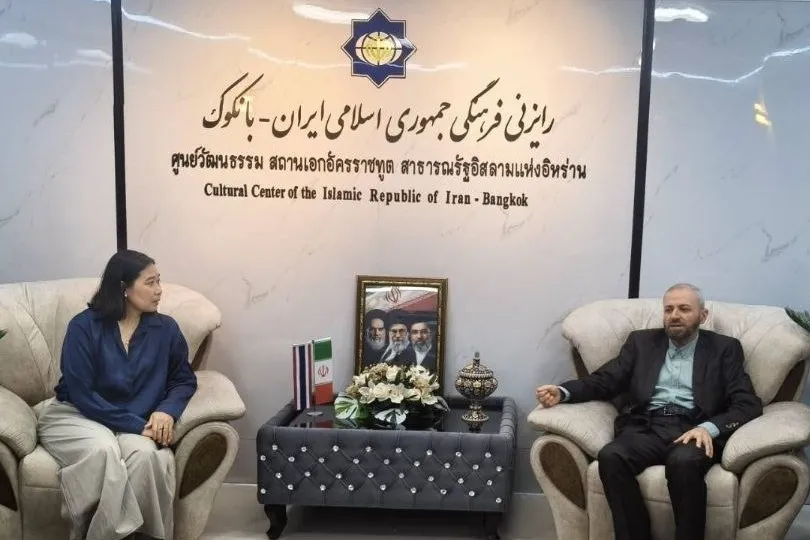 دانشگاه