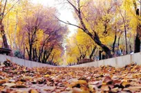 پاییز کم‌بارش و زمستان گرم در پیش است