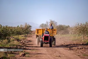 تولید برای محرومیت زدایی - باغ پسته
