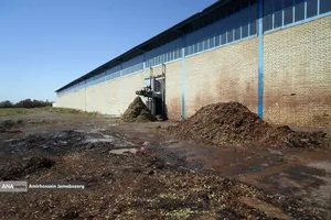 تولید برای محرومیت زدایی - باغ پسته