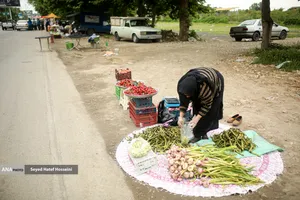جمعه&zwnj; بازار &laquo;جویبار&raquo;
