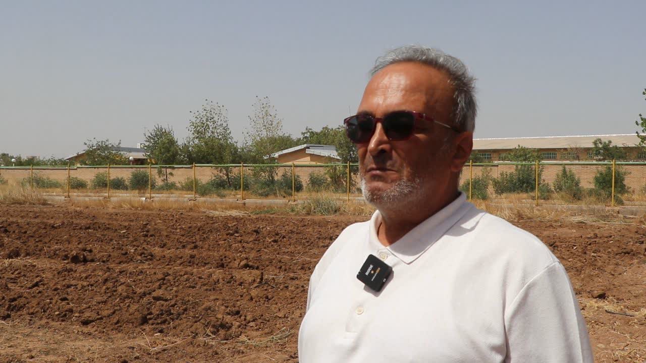 گامی بلند به سوی کشاورزی مدرن؛ نخستین کشت مکانیزه زعفران در استان زنجان توسط دانشگاه آزاد ابهر رقم خورد