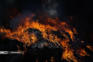 امحای ۲۰ تن مواد مخدر در تهران