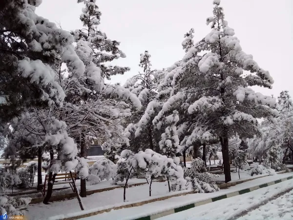 دانشگاه آزاد اسلامی واحد قم در یک روز برفی