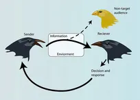 توانایی حیوانات در یادگیری ارتباطات با دیگر گونه‌ها