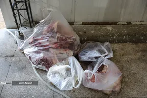 بازار عرضه بهداشتی دام زنده در عید قربان
