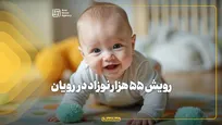 رویش ۵۵ هزار نوزاد در رویان