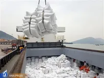 آغاز صادرات برنج ایرانی به کشورهای عربی، آمریکایی و روسی