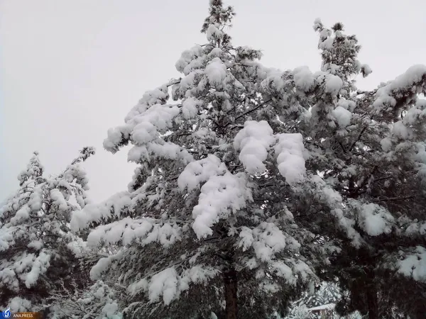 دانشگاه آزاد اسلامی واحد قم در یک روز برفی