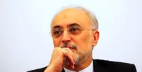 رئیس سابق سازمان انرژی اتمی: «همکاری با همه، وابستگی به هیچ‌کس» باید راهبرد ایران در نظم جدید جهانی باشد/ چرا ایران برای قدرت‌های بزرگ اهمیت دارد؟