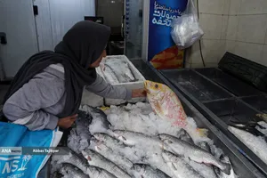 بازار روز تجریش