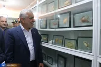 پژوهش‌های دانشگاهی زیربنای فعالیت‌های تولیدی و اقتصادی