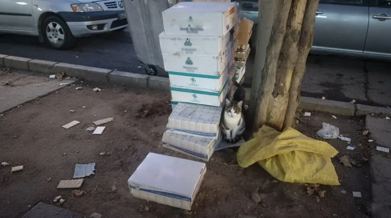 دارو کنار خیابون
