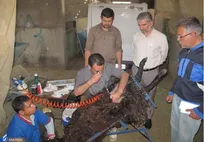 از تولید دانش‌بنیان گوسفند دوقلوزا تا افزایش بهره‌وری در صنعت دامپروری + فیلم