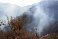 ۴۸ آتش‌نشان تهرانی در ارتفاع ۲۵۰۰ متری/ عملیات لوله‌کشی کیلومتری برای مهار آتش در جنگل‌های الیت