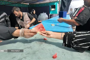موکب های دانشگاه آزاد اسلامی