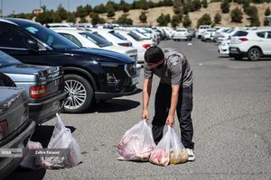 بازار عرضه بهداشتی دام زنده در عید قربان
