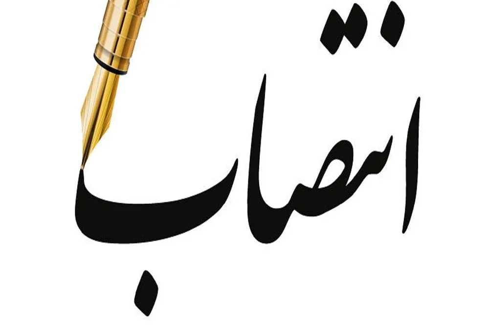 دانشگاه