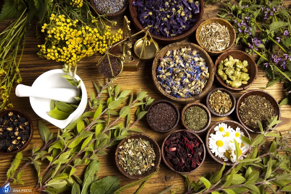 سهم چشمگیر مقالات حوزه گیاهان دارویی و فرآورده‌های گیاهی از تولید علم در ایران