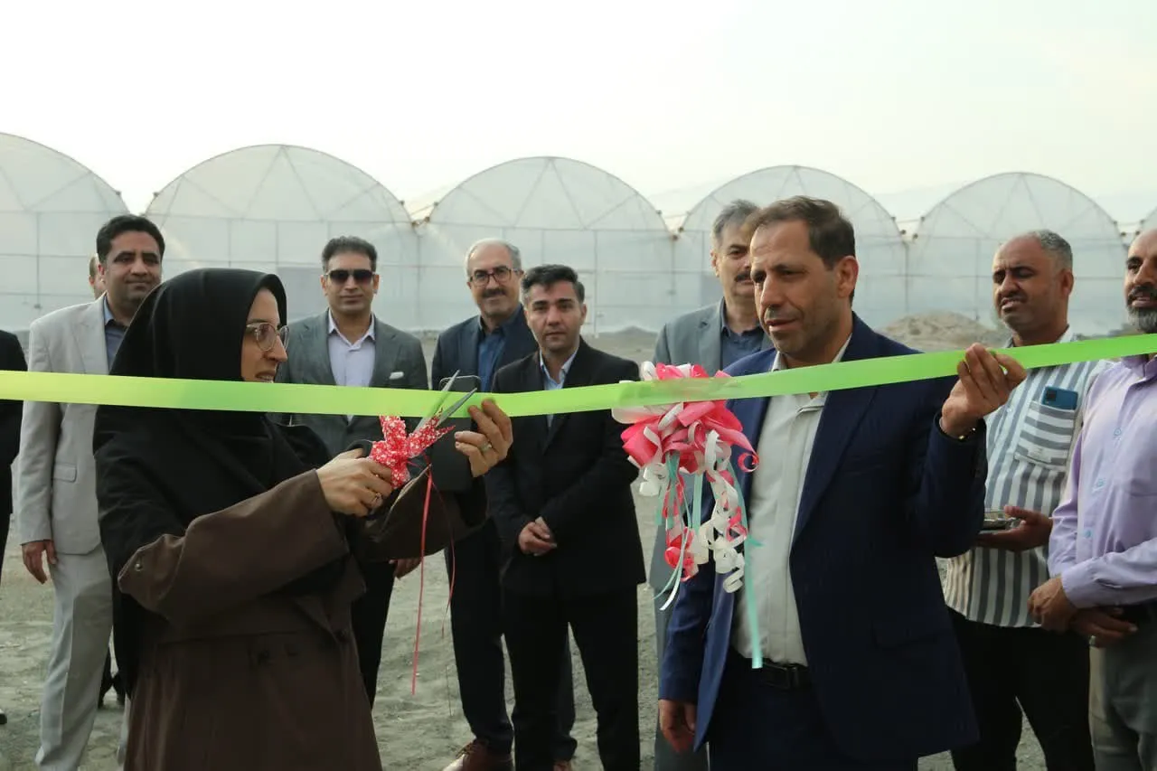 سودابه سلیمانی