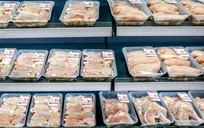 تأخیر در تأمین نهاده‌ها، تولیدمرغ کافی اما عرضه ناکافی!/درخواست شکستن سد استانی و کنترل قیمت قطعه‌ای مرغ