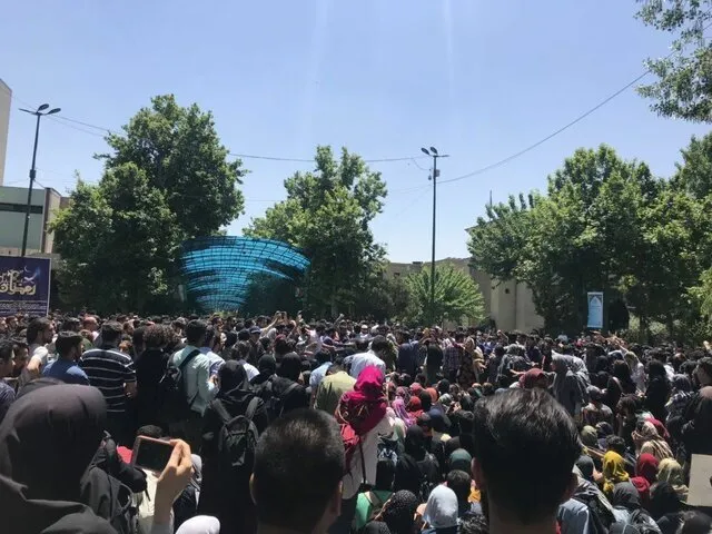 دانشگاه