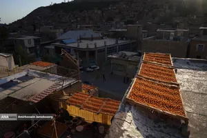 خُرو؛ پایتخت آلوی ایران