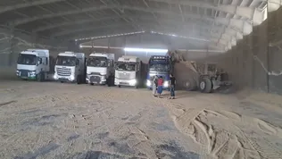 ترخیص ۱۲۸ هزار تن جو دامی بادستور قضایی در راستای تأمین امنیت غذایی کشور