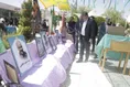 جشنواره سرزمین من