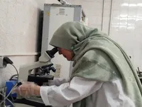 گامی در مسیر فناوری‌های نوین غذایی/ از شناسایی یک نیاز تا تولید محصولی فراسودمند