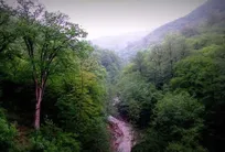 طرح جنگلداری نوین در ۱۰ حوزه منابع طبیعی مازندران تدوین شد