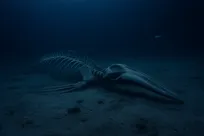 نگرانی دانشمندان از ناپدید شدن «کرم زامبی» یا همان مهندس اکوسیستم