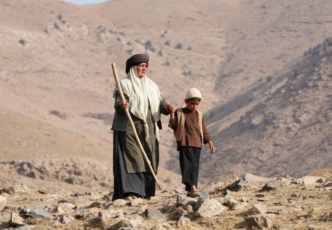 لحن صمیمی «کوچ» مخاطبان را جذب می‌کند