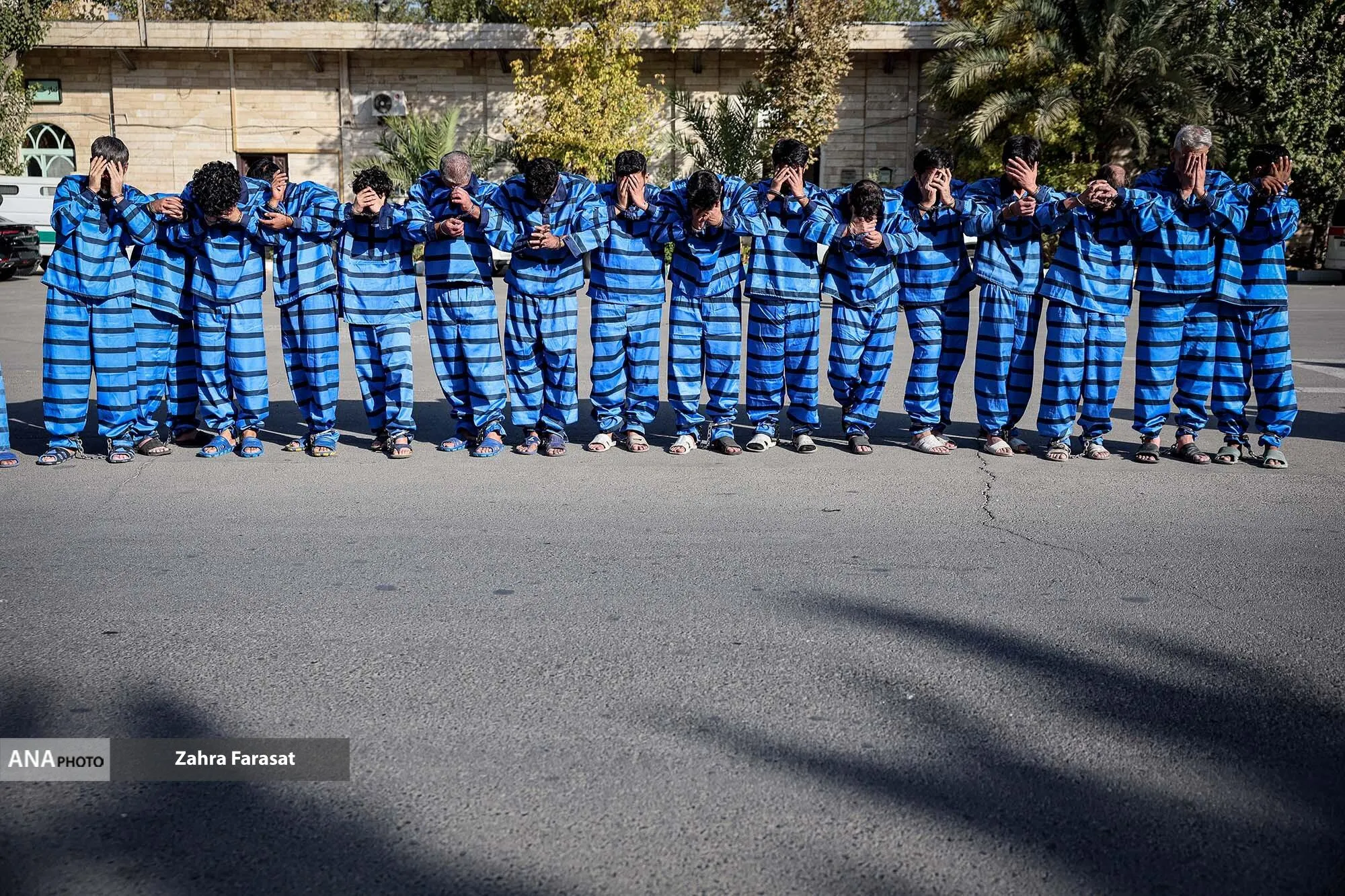 دستگیری سارقین