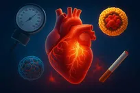 ۴ عامل خطر ۹۹ درصد سکته‌های قلبی