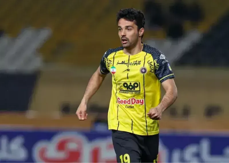 امید نورافکن 