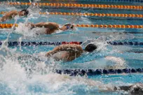 هفتمین دوره جام شنای آزادی| برترین‌های ۶۰۰ شناگر ایران معرفی شدند