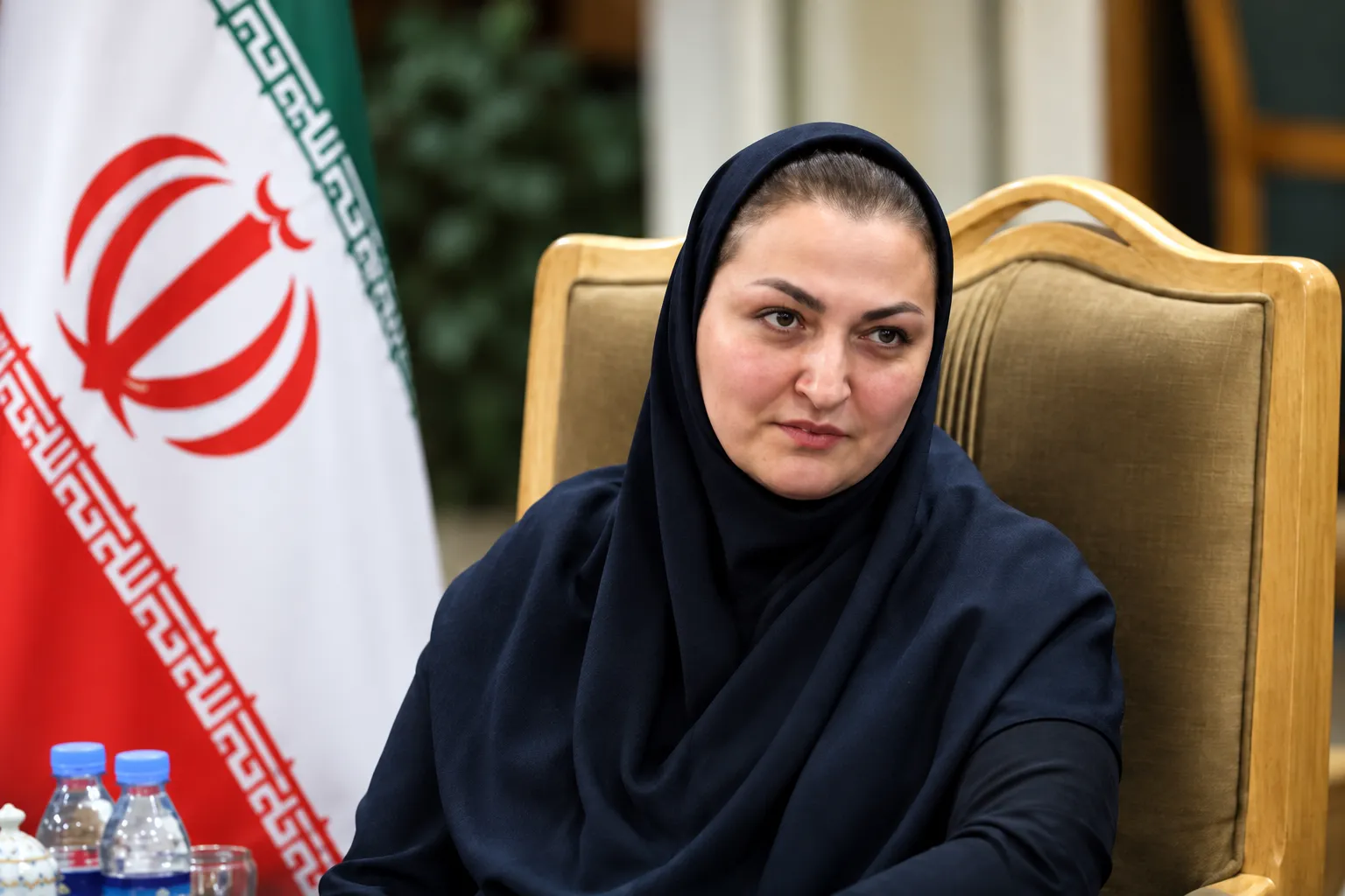 هدا پیروی، رئیس پردیس رضوی پارک فاوا