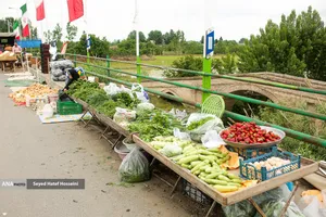 جمعه&zwnj; بازار &laquo;جویبار&raquo;
