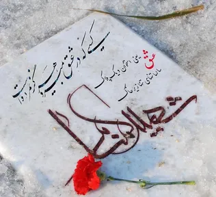 فیلم| ادای احترام معاون توسعه و مدیریت منابع دانشگاه آزاد به شهدای گمنام