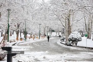 بارش برف زمستانی در تهران 