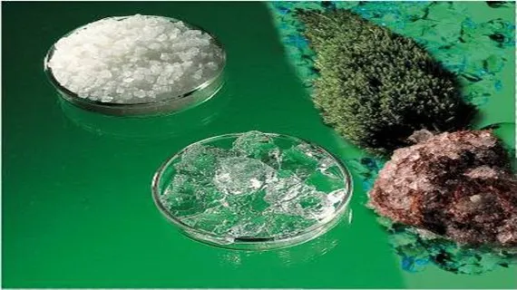 Iranian Researcher Produces Water-Absorbing Polymers to Fight Dust Storms
