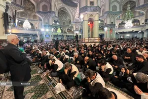 برنامه خادمیاران و یاوران رضوی منطقه دارالمومنین تهران