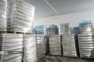 بازدید رئیس ستاد فرمان اجرائی امام(ره) از خدمت رسانی موکب داران اربعین حسینی مرز مهران