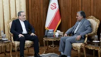 دیدار رئیس دفتر حفاظت منافع ایران در قاهره با عراقچی
