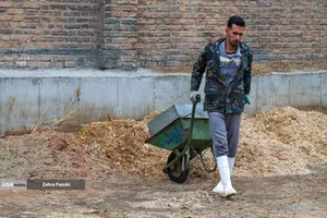 خودکفایی در تولید شیر