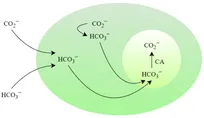 iranian-scientists-colleagues-solve-mystery-of-co₂-absorption-in-hydrocarbons