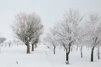 بارش برف و باران در محورهای چهارمحال و بختیاری